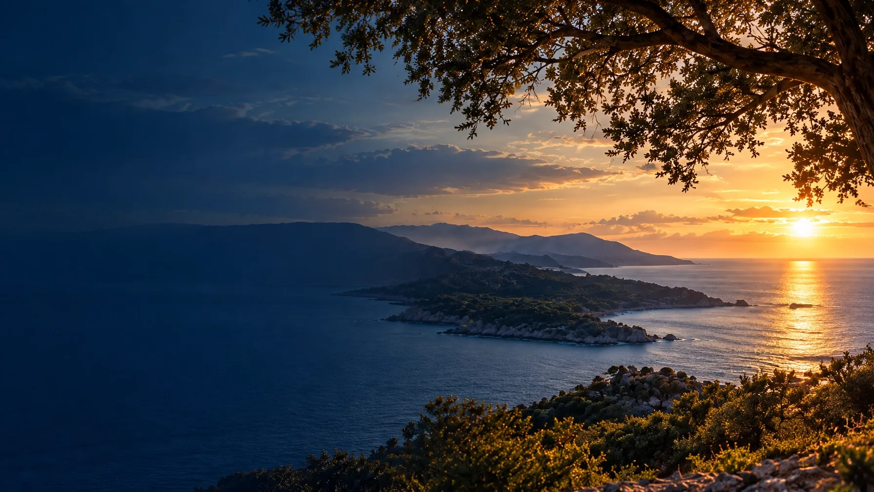 A peaceful coastline at sunset framed by a tree, looking toward the distant horizon
